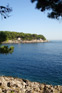 Powi�kszone zdj�cie 