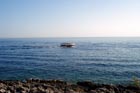 Powi�kszone zdj�cie 