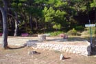 Powi�kszone zdj�cie 
