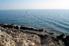 Powi�kszone zdj�cie 