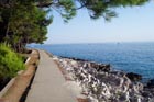 Powi�kszone zdj�cie 