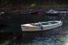 Powi�kszone zdj�cie 