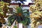 Powi�kszone zdj�cie 