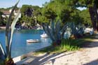 Powi�kszone zdj�cie 
