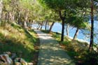 Powi�kszone zdj�cie 