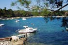 Powi�kszone zdj�cie 