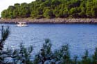 Powi�kszone zdj�cie 