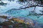 Powi�kszone zdj�cie 