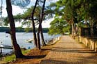 Powi�kszone zdj�cie 