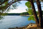 Powi�kszone zdj�cie 