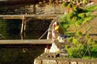 Der insel Losinj