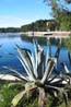 Vergr&ouml;&szlig;ertes Foto: Cikat Bucht, Mali Losinj