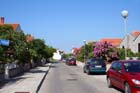 Powi�kszone zdj�cie 