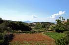 Vergr&ouml;&szlig;ertes Foto: Grbica, Veli Losinj