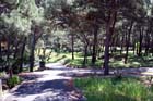 Vergr&ouml;&szlig;ertes Foto: Istarska, Mali Losinj