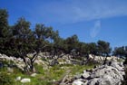 Mali Losinj