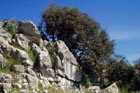 Der insel Losinj