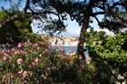 Der insel Losinj