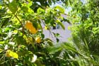 Powi�kszone zdj�cie 