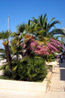 Mali Losinj