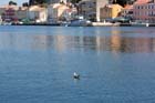 Mali Losinj