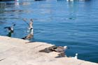 Mali Losinj