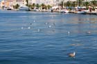 Mali Losinj