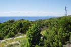 Otok Cres