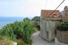 Otok Susak