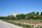 Enlarged photo: St. Jakov