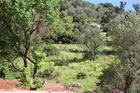 Enlarged photo: St. Jakov