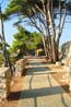 Vergr&ouml;&szlig;ertes Foto: Veli Losinj
