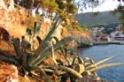 Vergr&ouml;&szlig;ertes Foto: Veli Losinj