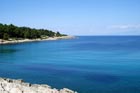 Powi�kszone zdj�cie 