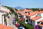 Powi�kszone zdj�cie 
