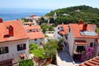 Powi�kszone zdj�cie 